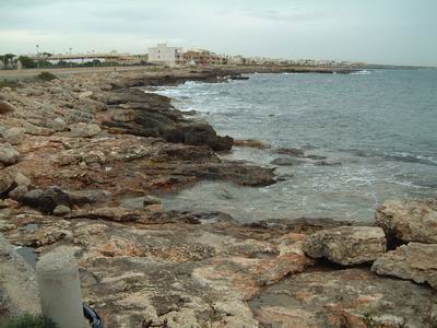 DSCF0042.JPG